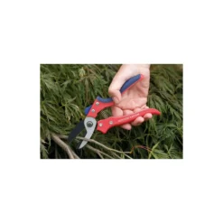 Spear & Jackson Razorsharp Medium Anvil Secateurs -Flymo Sales Store 12810690 8934833195029880