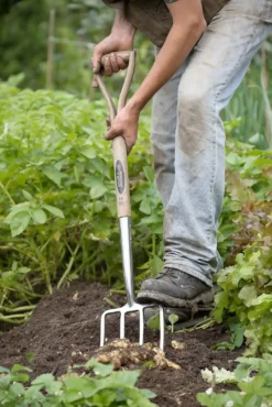 Spear & Jackson Traditional Stainless Digging Fork 15 Spear & Jackson Traditional Stainless Digging Fork -Flymo Sales Store 12904675 1274851072244143